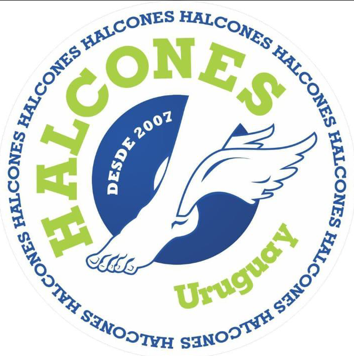 Halcones